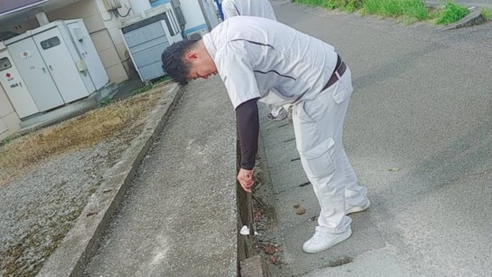 さーて、今週の新メンバーは!?