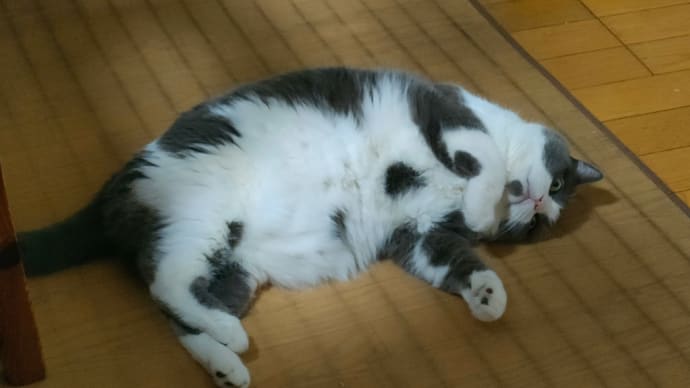 仕事の難しさ