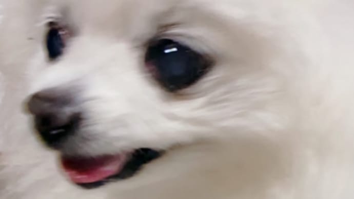 素敵な事だよ。