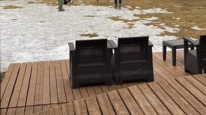雪が少なくても楽しそう〜