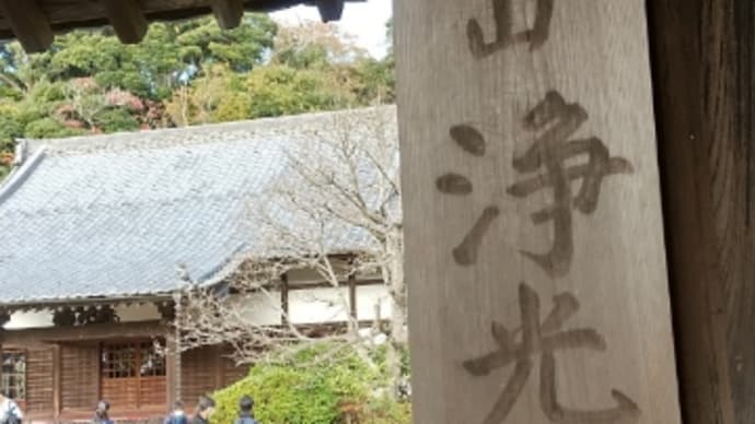鎌倉秋歩き