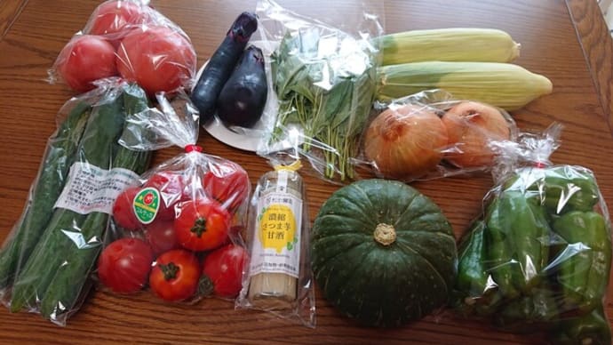 マルシェルの夏野菜詰合せ(福島県田村市 松や農園)はとてもオススメ!