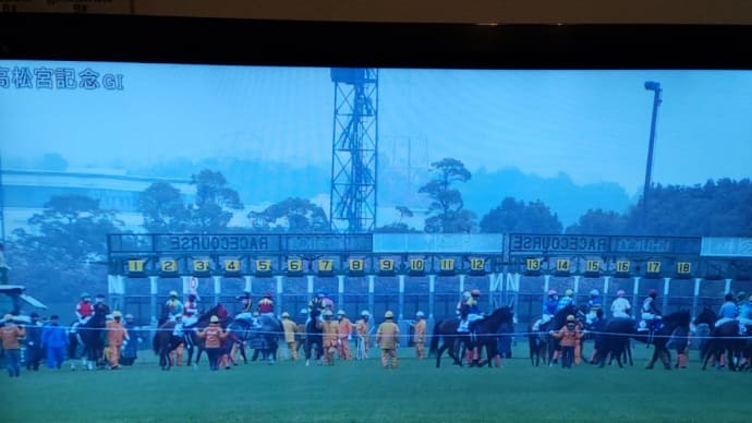 高松宮記念(G1)🐴