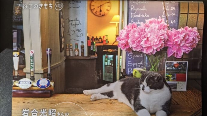 猫の日(ΦωΦ)ニャンニャンニャン♥