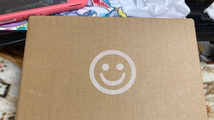 ねんどろいどどーる。
