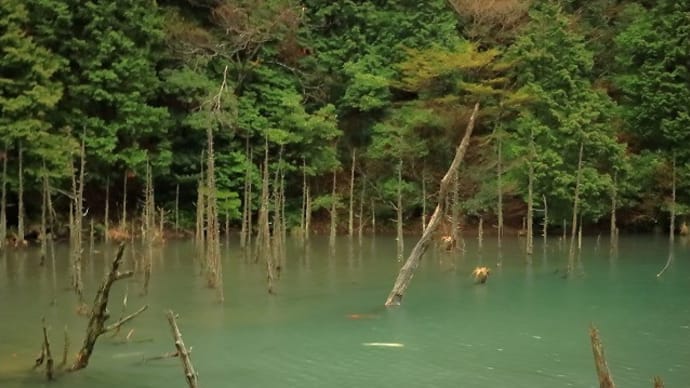 一ノ俣桜公園へ行った後は~