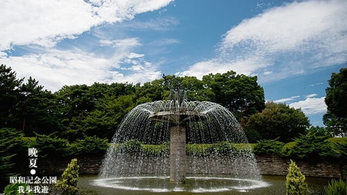 晩夏の光景。