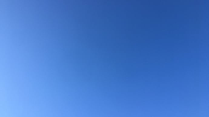☆柔術Day☆