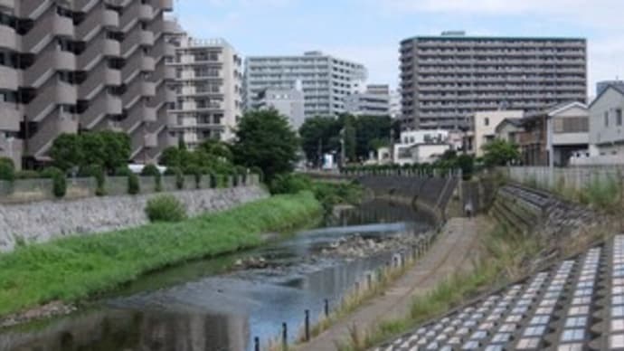 2023神奈川河川ﾎﾟﾀﾘﾝｸﾞ『境川上流』②町田駅