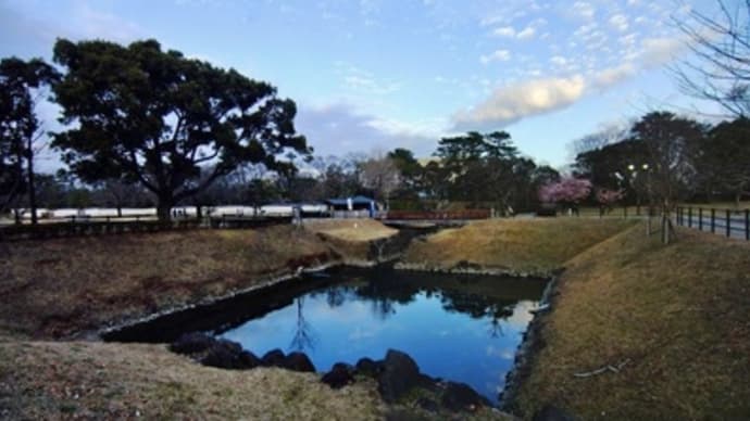 桜満開　駿府城