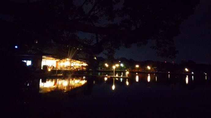 火曜の夜に博多を歩いてごらん♪