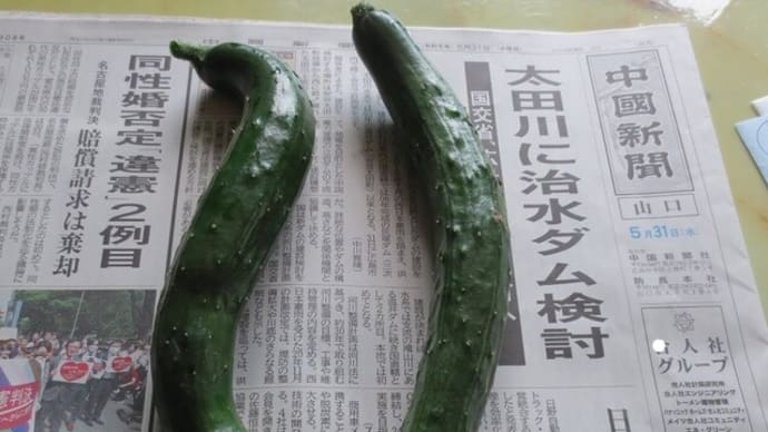 皐月つごもり」
