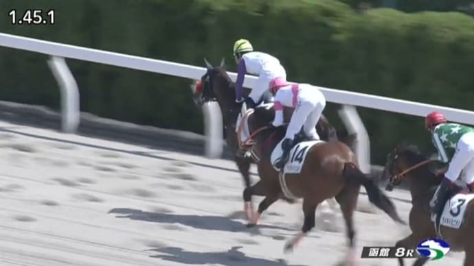 4万馬券的中も、新馬戦の負けが痛い!