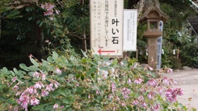 玉作湯神社の上のからす天狗