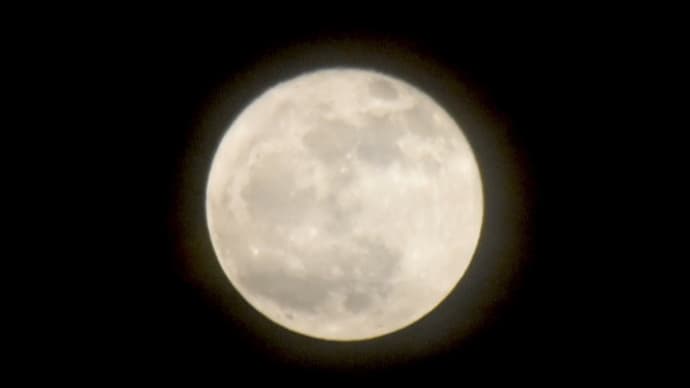 今夜は満月、フラワームーン╰(*´︶`*)╯♡