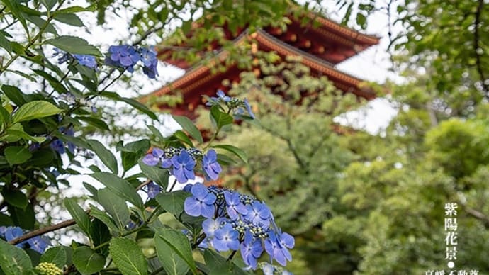 穏やかな光景。