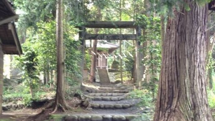 森の神社さん