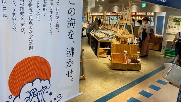 県外からの移住者によって「ＫＩＴＡＭＡＥ」に運び込まれた