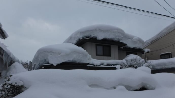 横手市 観測史上最高積雪