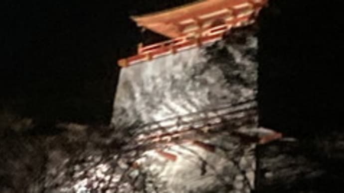 紀三井寺の桜 2022年夜編