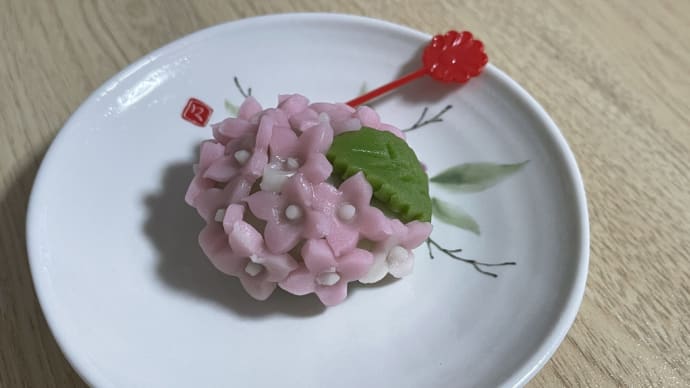 リモートレッスンを