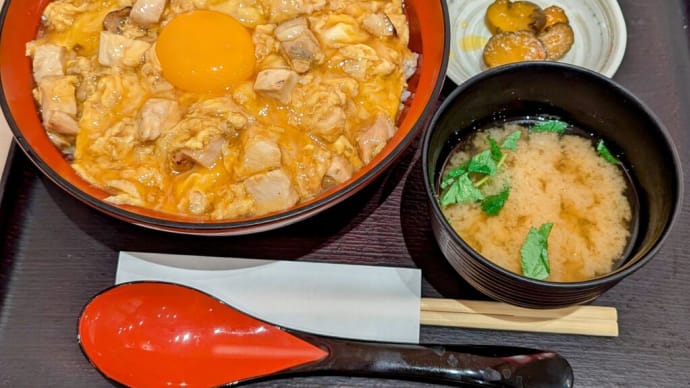 「焼鳥ここりこ庵 "大山どりの親子丼 上"」六本木ヒルズ店