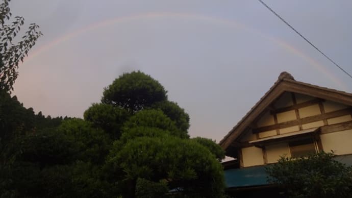 6月27日 虹の橋