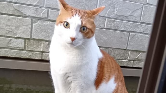 風になる
