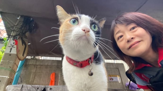にゃんこずな朝。