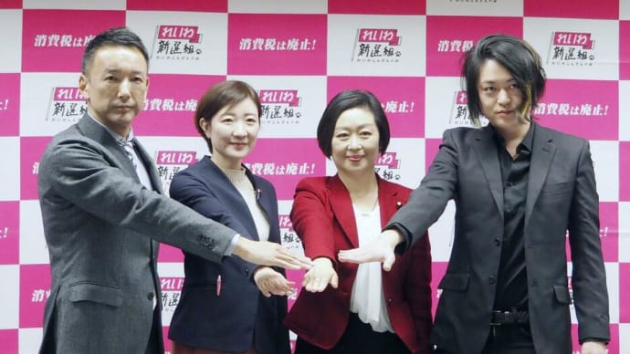 れいわ新選組代表選挙!投票したぞ!!