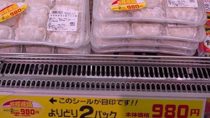 生ギョーザ
