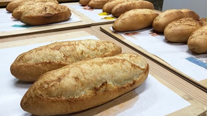 朝昼に重宝するフランスパン