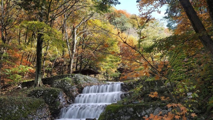 ★牛伏川フランス式階段工の秋風景🍂 2020