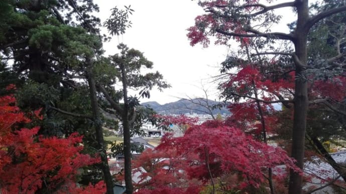 旅行は土日が良いか、それとも平日の方が良いのか。そしてほんとうに良い時期に行ってみたい。