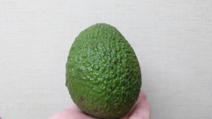 【血栓】【心筋梗塞】【脳梗塞】【病気】【食べ物】【健康】