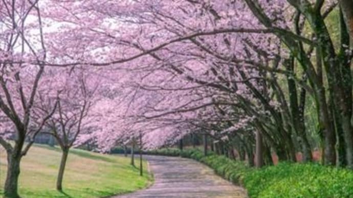 あらゆる恵みに満ちた神