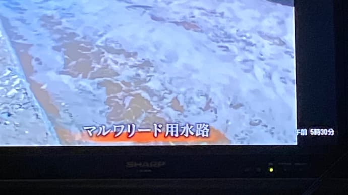 #いまここにある恵み
