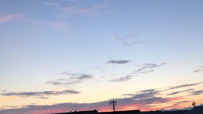 朝