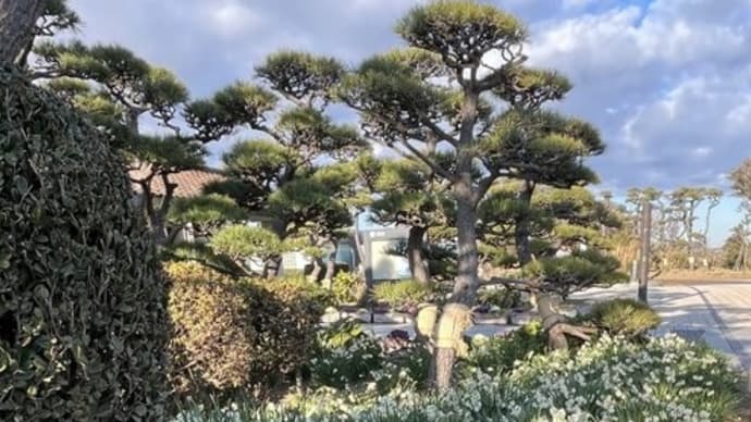 2024早春 第1弾 三浦・城ヶ島