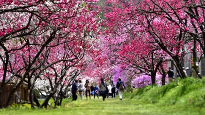 信州割SPECIAL(全国旅行支援)」の期間が、6月30日(金)の宿泊・催行分まで延長