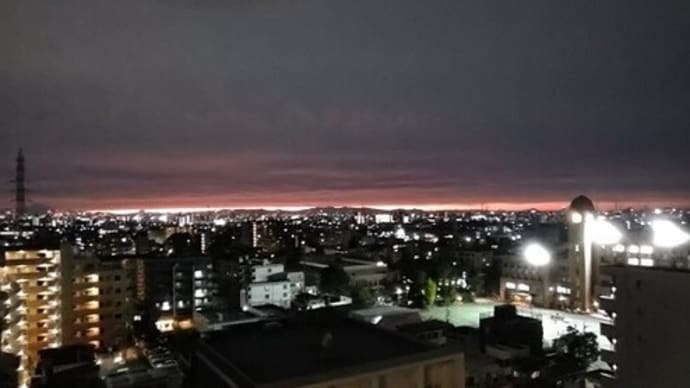 「災難に逢う時節には」