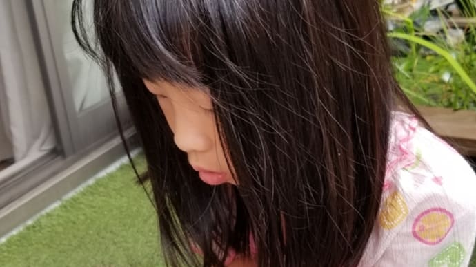 オクラができました!