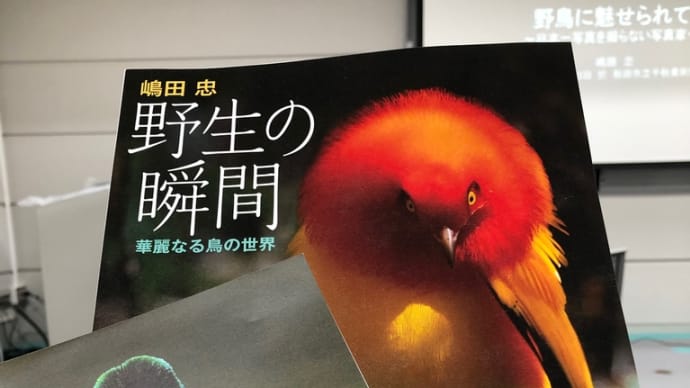追いかけずに待つ…私には無理かも。