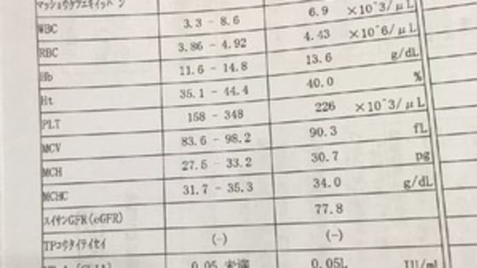内外痔核へのジオン硬化療法を日帰り手術として受けてきました