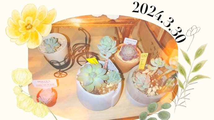 ラズベリーアイス1号2号