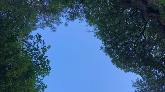 年越しに感じること