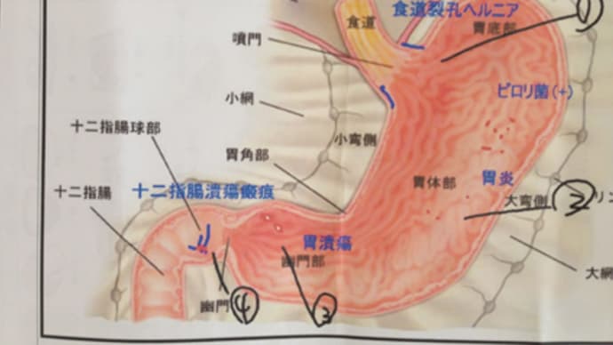 ジェジェジェジェ!!(表記はカタカナだったけ?)