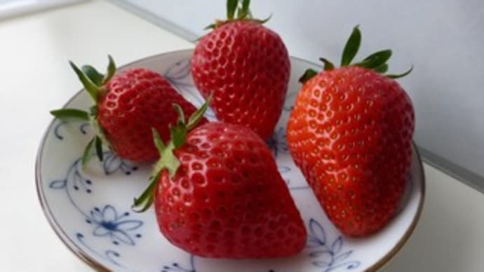 イチゴミルク