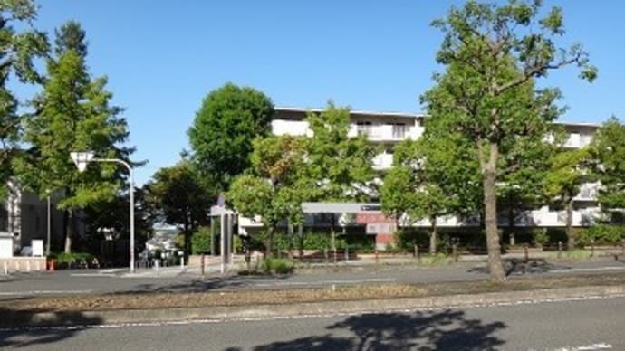 和泉中央からお散歩1