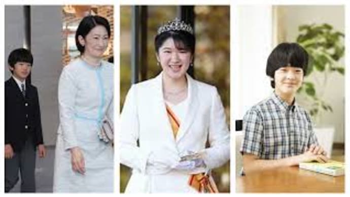 Issues in Japan (Imperial Family): Kiko's insistence on making Hisahito's academic career brilliant